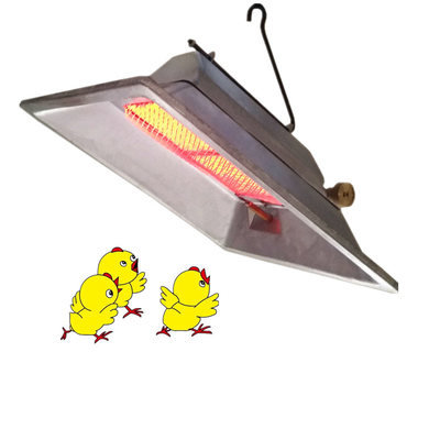 수동 온도 조절 가스 부어 온도 가축용